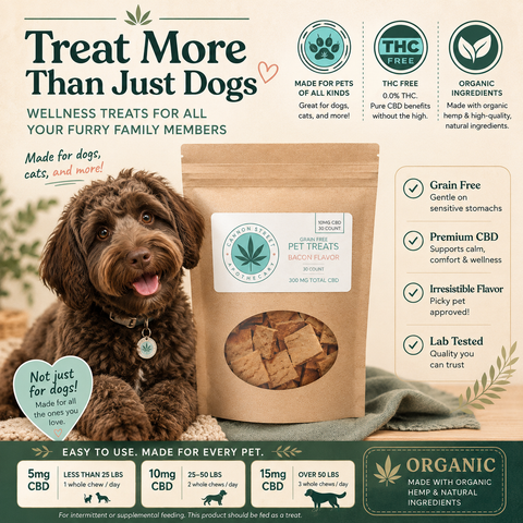 CBD Pet Treats